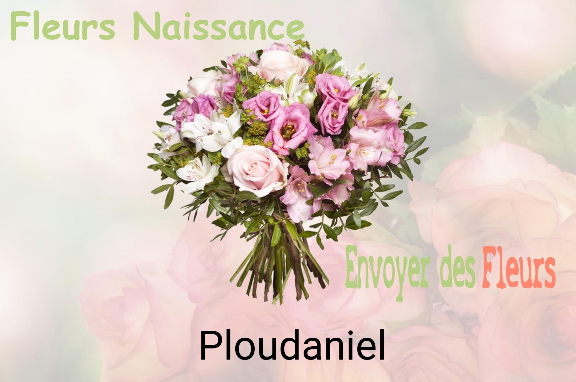 Bouquet de fleurs de naissance livré à Ploudaniel